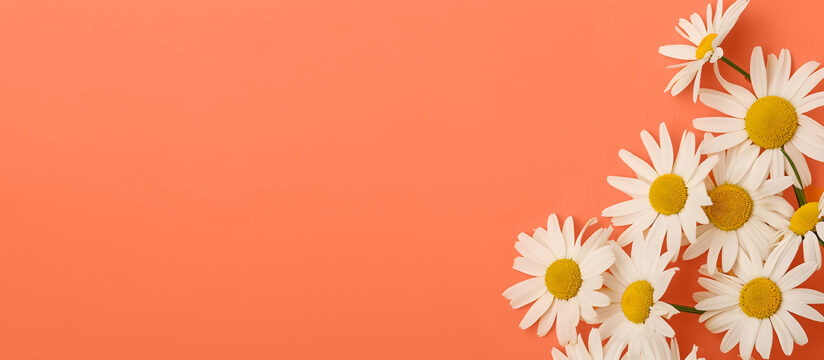 Darba laiks svēktos