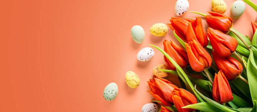 DM_0013_1366x596_6_3 copy