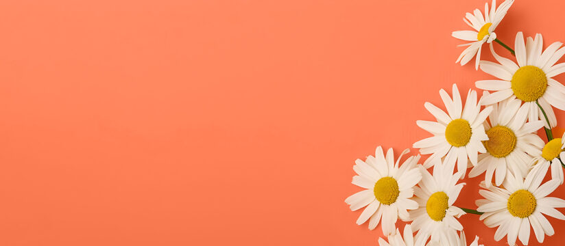 Darba laiks svēktos